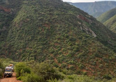 Addo Wilderness 4x4 Convoy