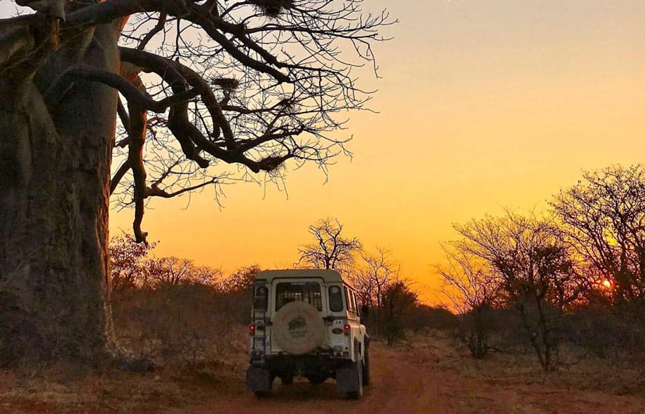 Johan Kriek in the African Bush